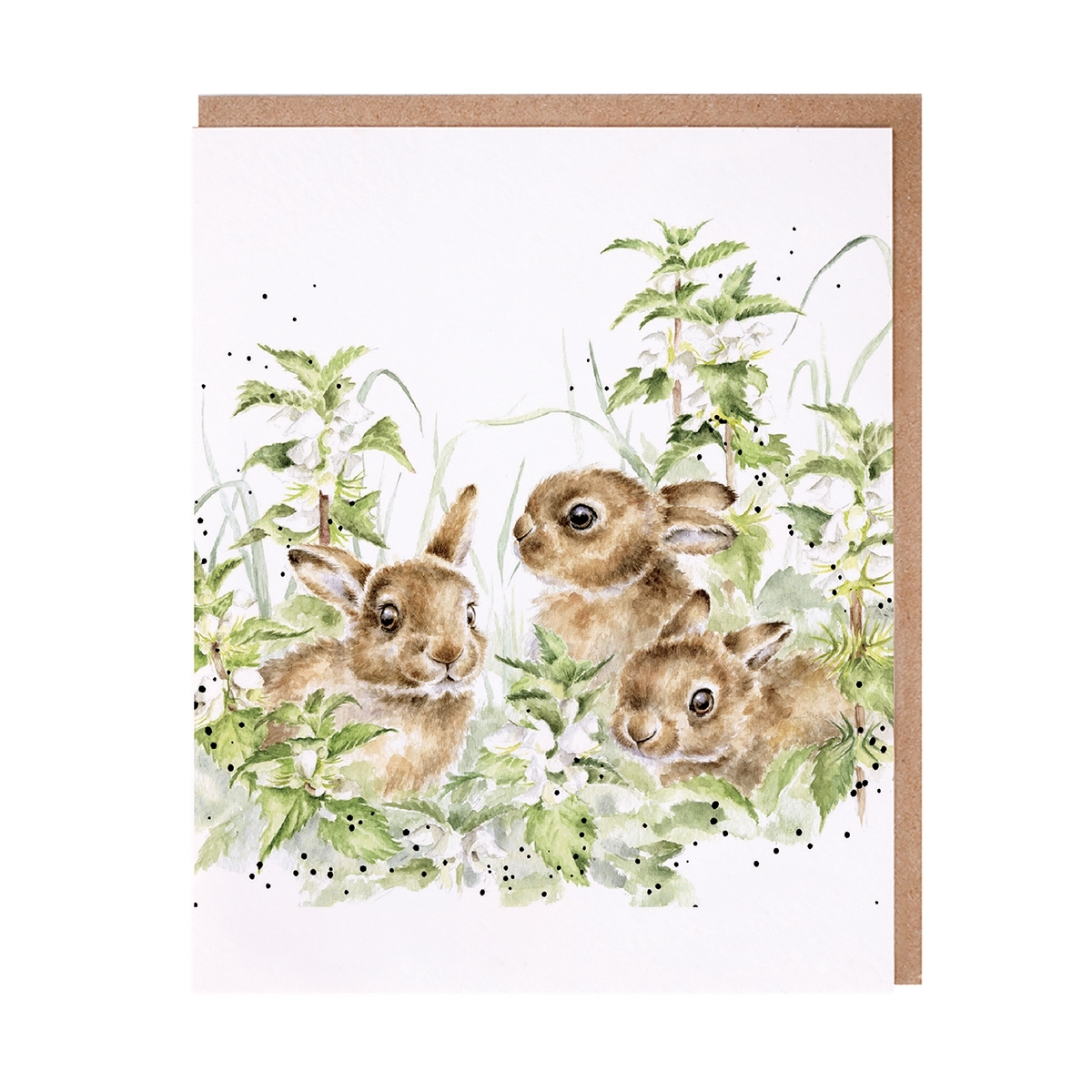 Hase "Spring Hares" Wrendale Designs