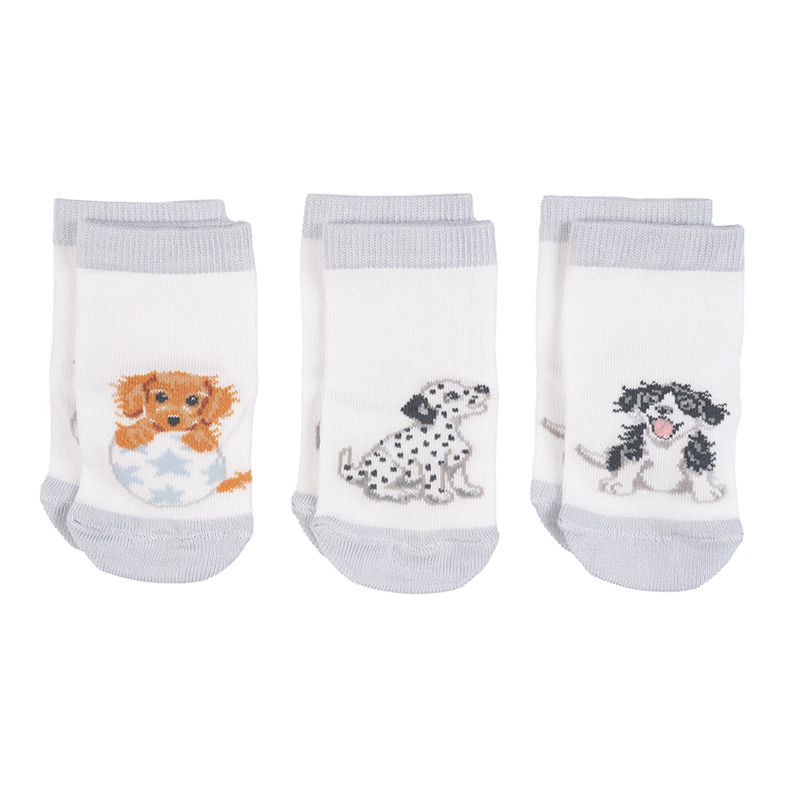 3 Chaussettes de bébé chien Set 0-6 mois "Little Paws" Wrendale Designs