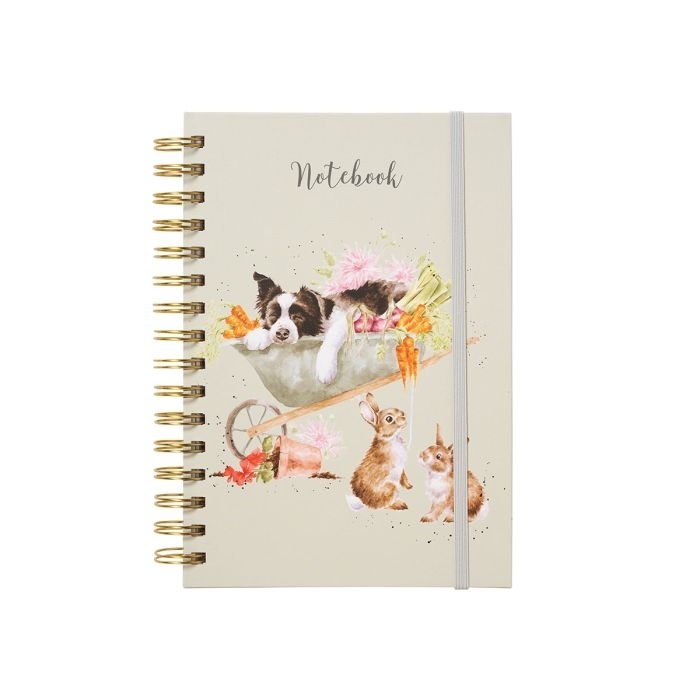 Border Collie und Kaninchen A5 Notizbuch "Sleeping on the Job" 148 x 210mm Wrendale Designs