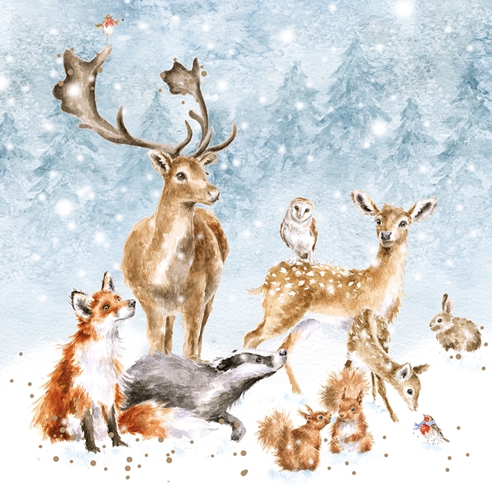 Weihnachtskarten "Winter Wonderland" 120 x 120mm Wrendale Designs