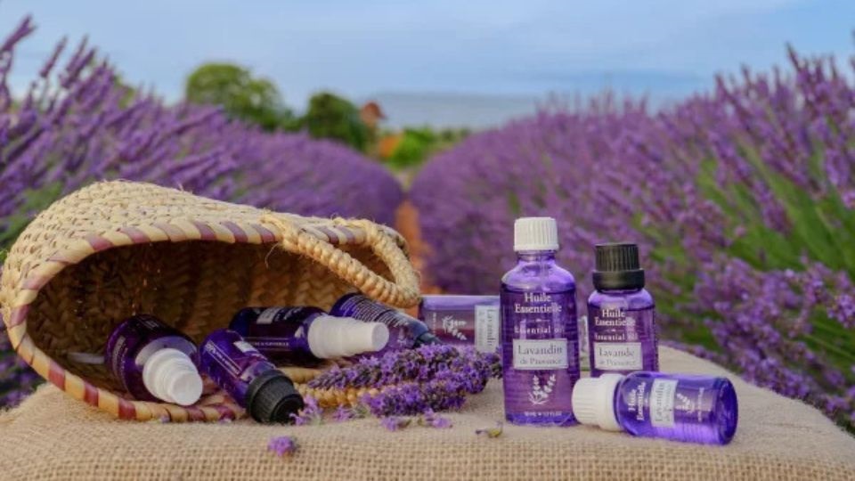 Die Heilpflanze Lavendel – Aromatherapie und Geschenke