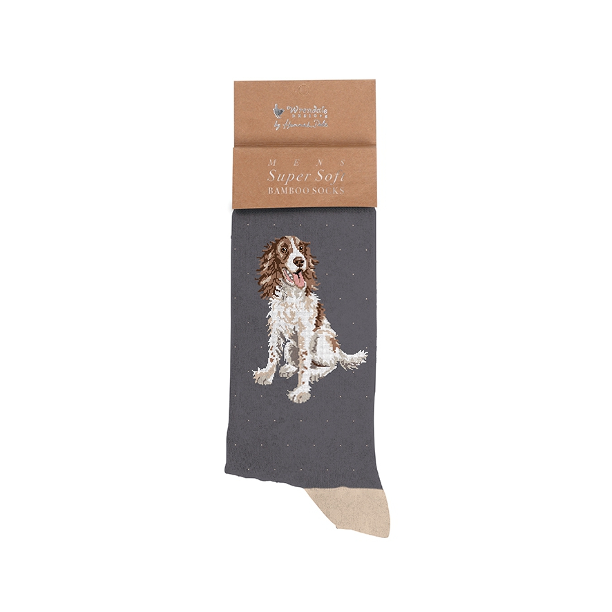 Chaussettes épagneul "Willow" taille homme Wrendale Designs