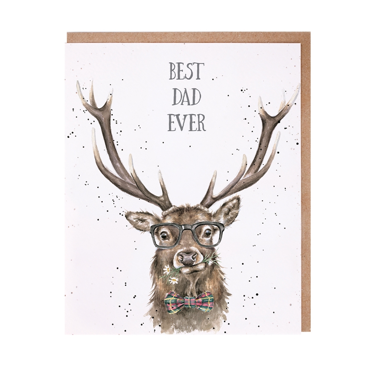 "Best Dad Ever" Gelegenheitskarte Wrendale Designs