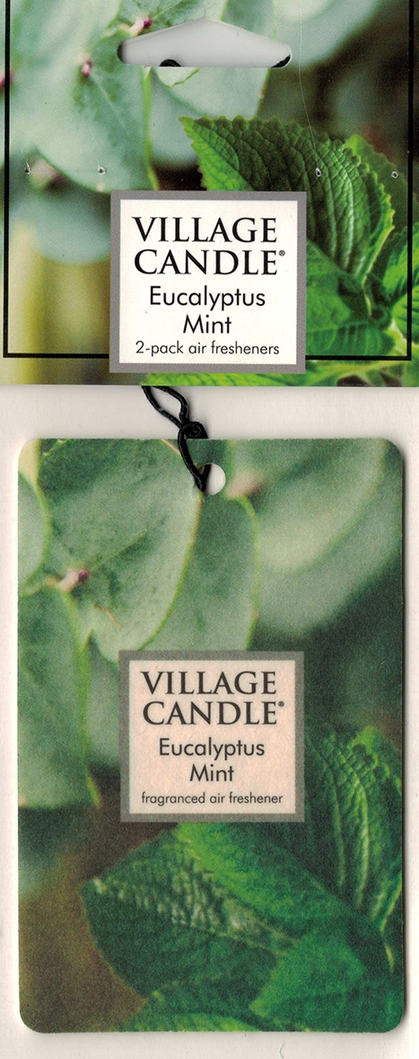Eucalyptus Mint Autoduft Village Candle 2 Stück