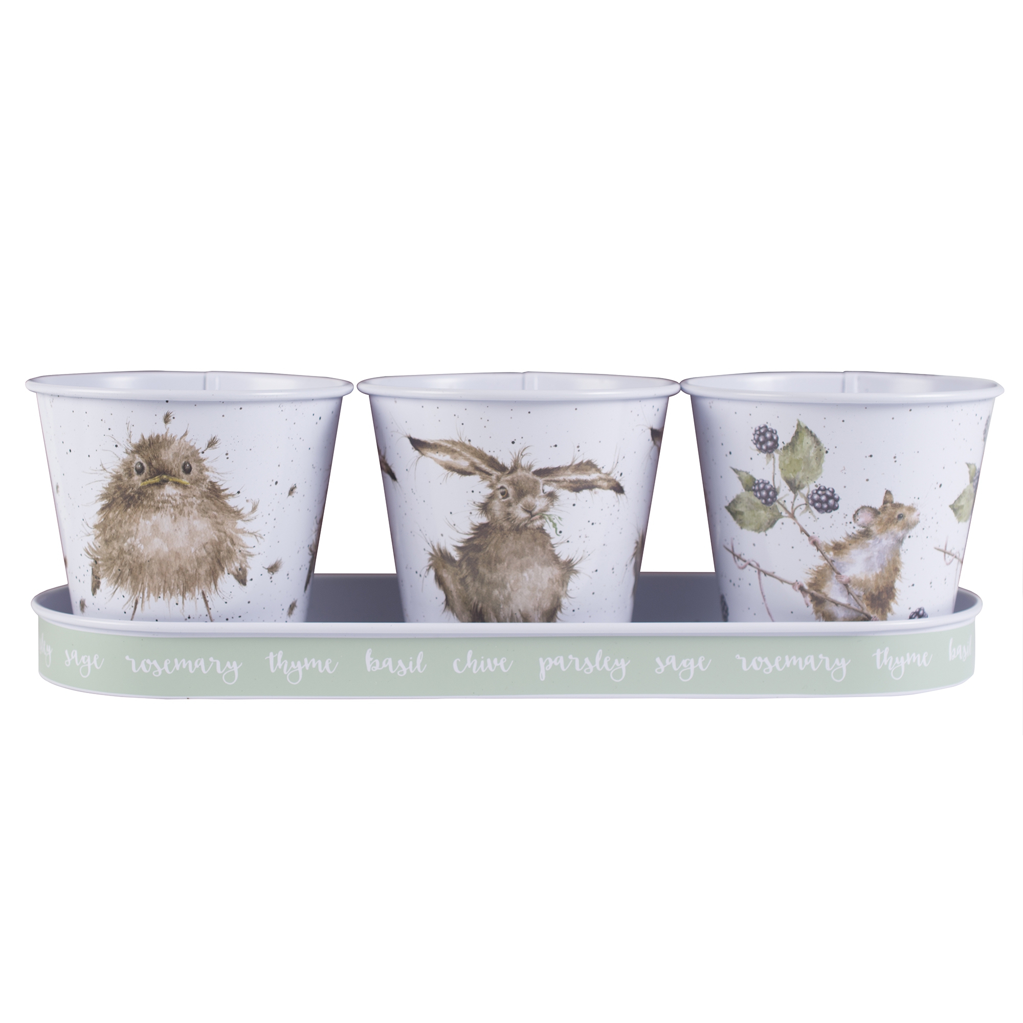 Oiseau - Lapin - Souris Pots à herbes avec plateau 330 x 110 x 25 Wrendale Designs